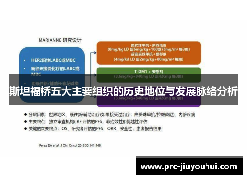 斯坦福桥五大主要组织的历史地位与发展脉络分析