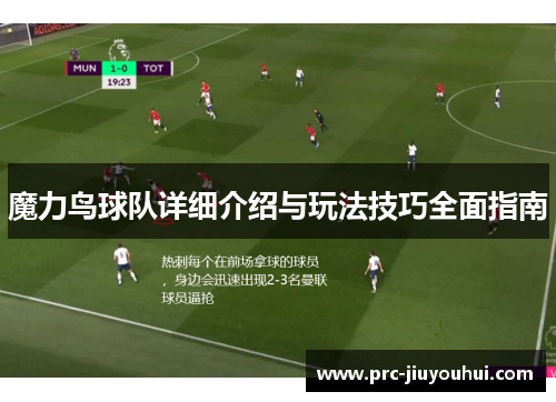 魔力鸟球队详细介绍与玩法技巧全面指南 魔力鸟球队详细介绍与玩法技巧全面指南